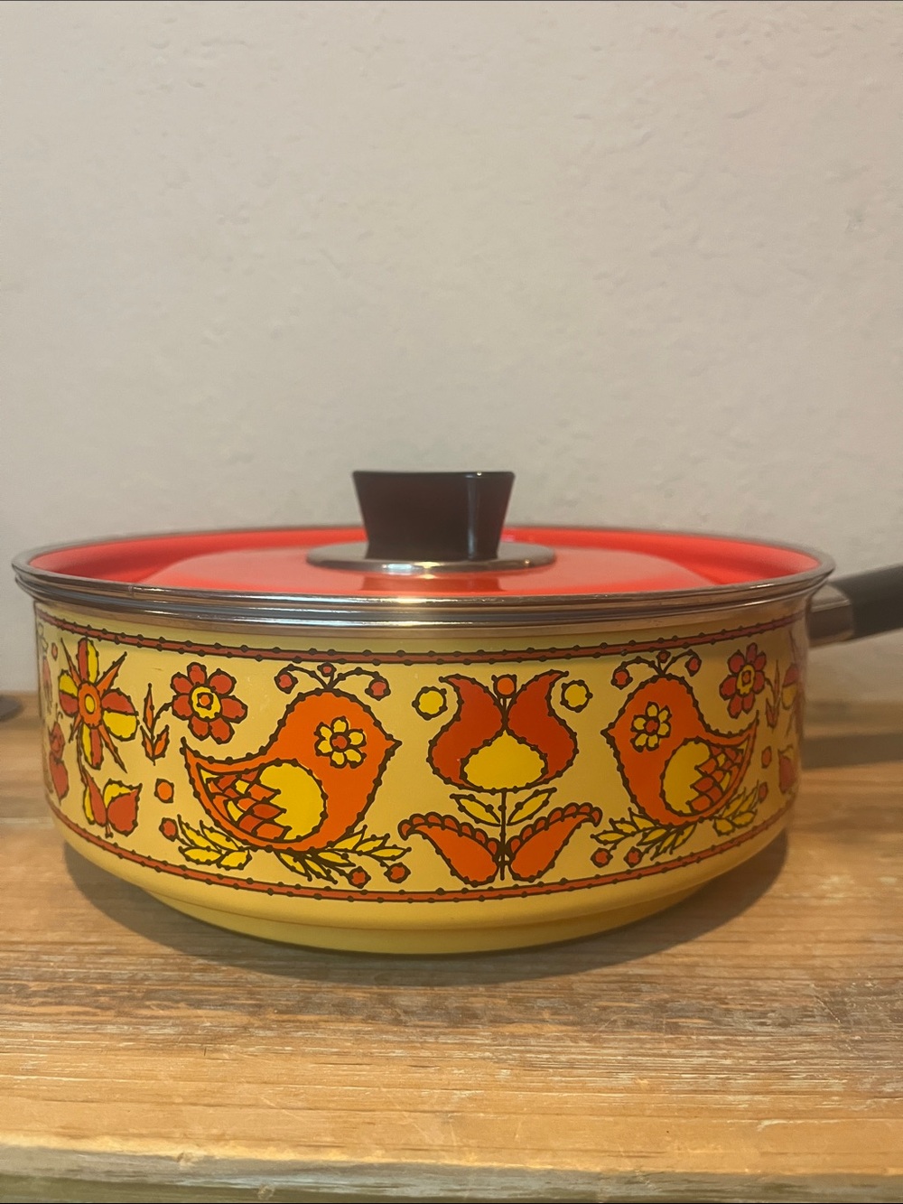 Vintage Mid Century Fancipans Enamel Sauce Pot Large 9” diameter, w/ lid